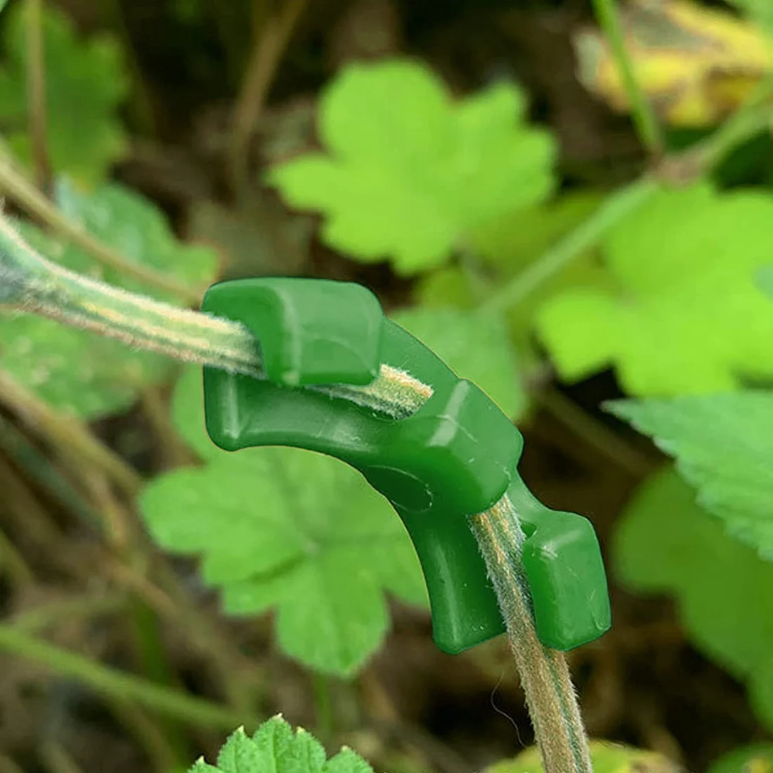 Plant Clips 36 Pcs For Low Stress Training