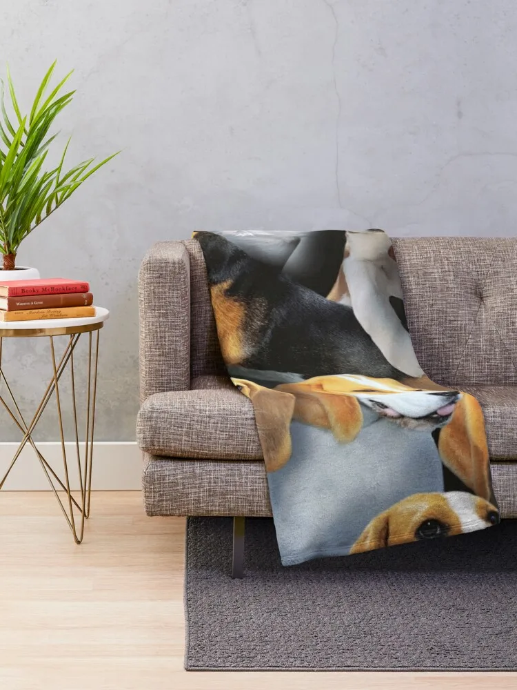 ��� ������ ���, ����� �� �ʼ�ǰ, �����̳� �ʴ��� ������ ���