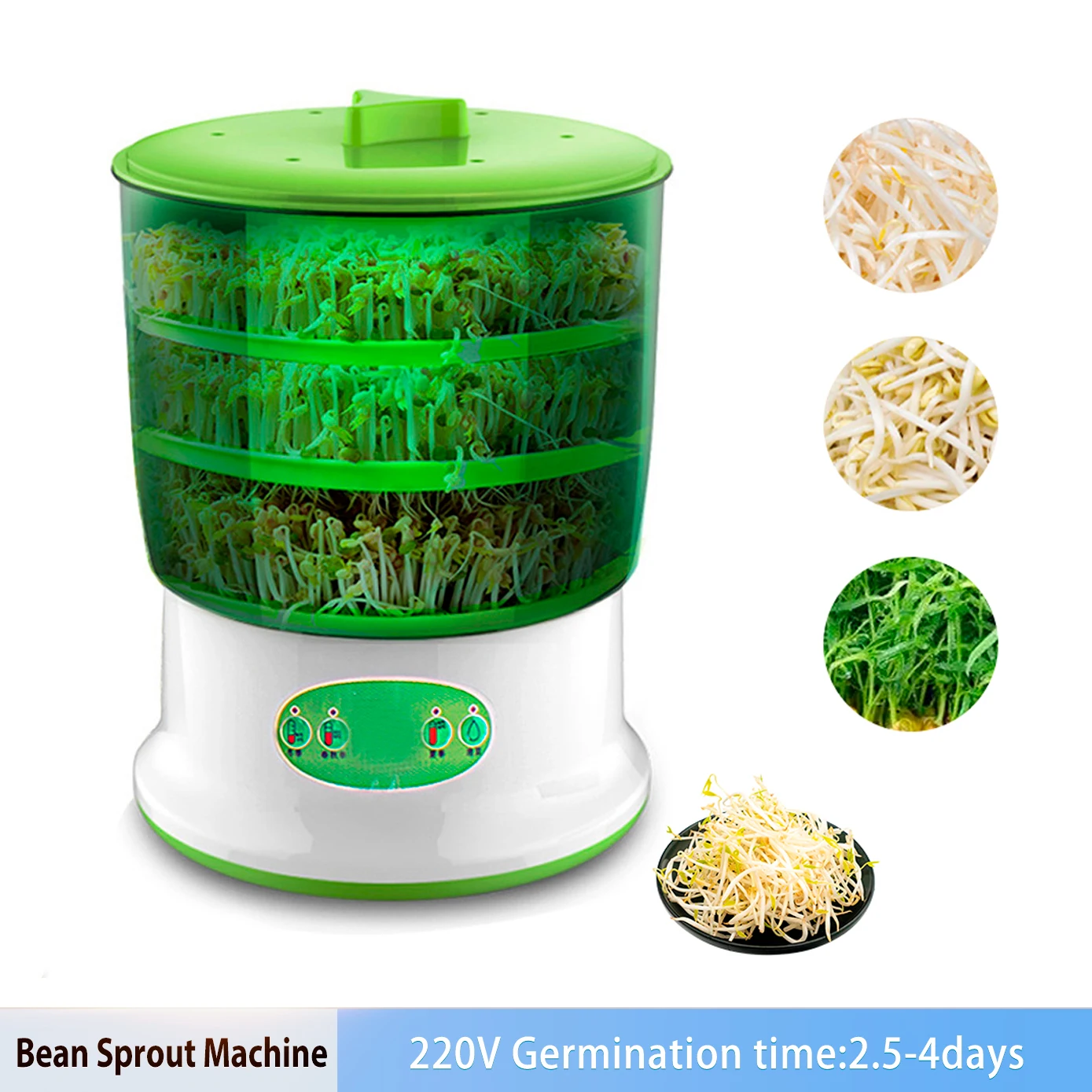 Store Home Products New Year Bliss Top Selling Feedback