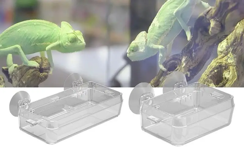 

Reptile Feeder Bowl Anti-Escape Reptile Bowl Food Water Cups Dish Feeder Tank Durable Transparent Feeding Basin Gecko Lizard