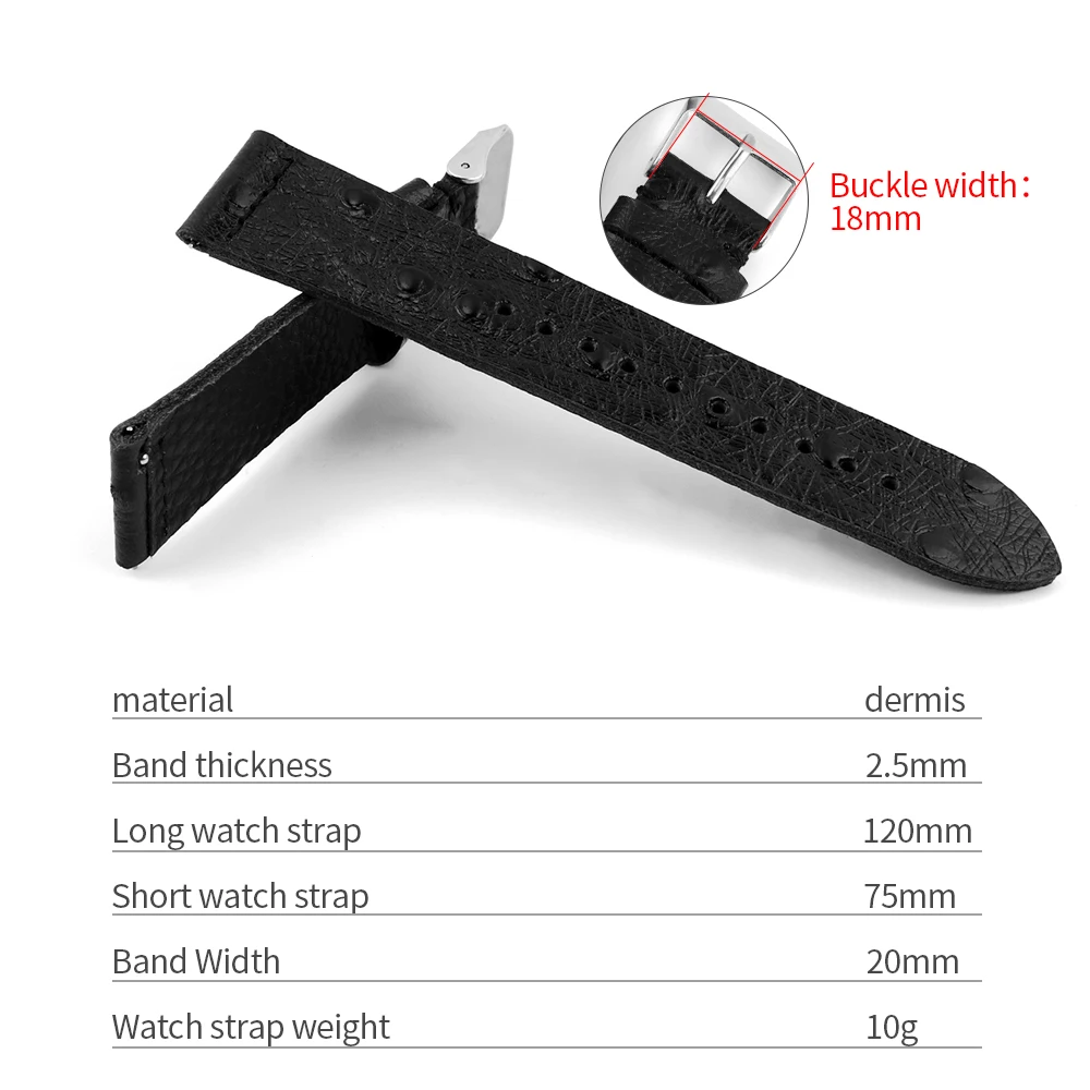 Cinturino Pelle Orologio 19mm | Confronta Prezzi