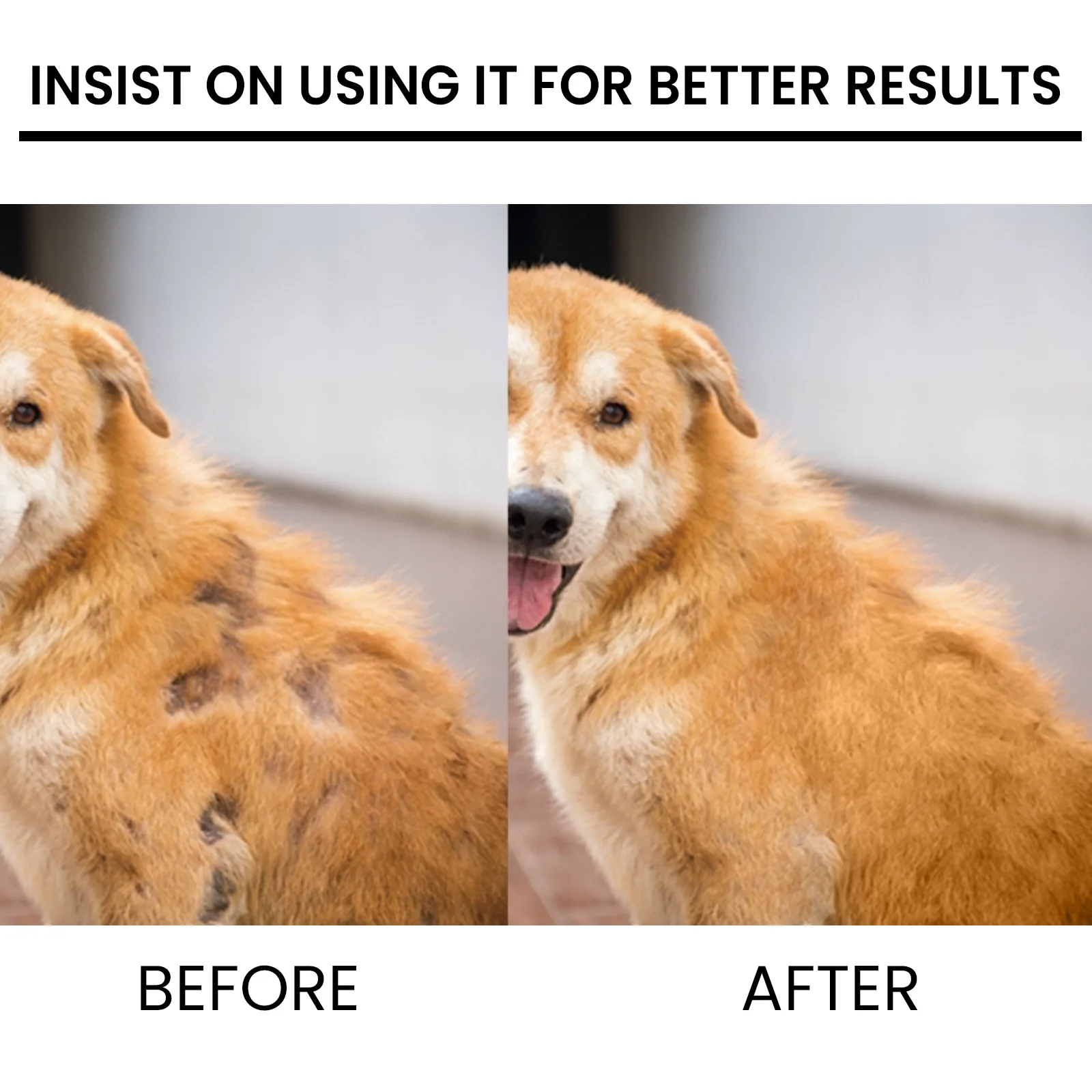 Yegbong Pet Hair Enhancer, Cat and Dog Hair Conditioning Repair Damaged Follicle Loss Care Spray
