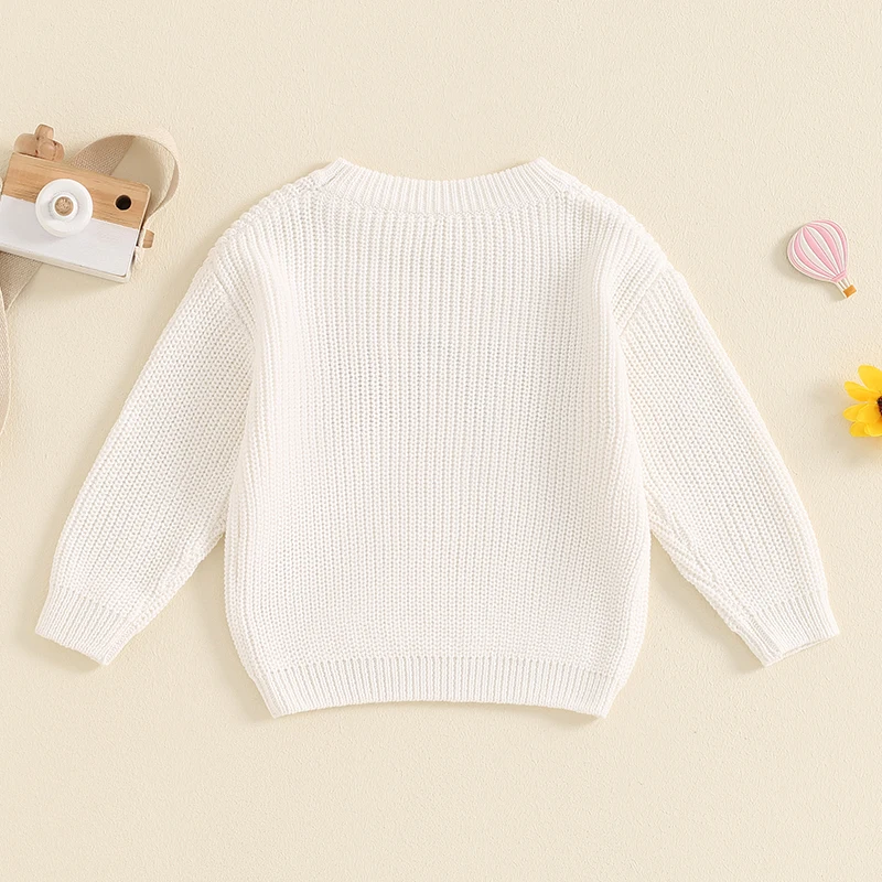 가을  소년 소녀 생일 스웨터 문자 자수 긴팔 니트 풀오버, 가을 겨울 옷