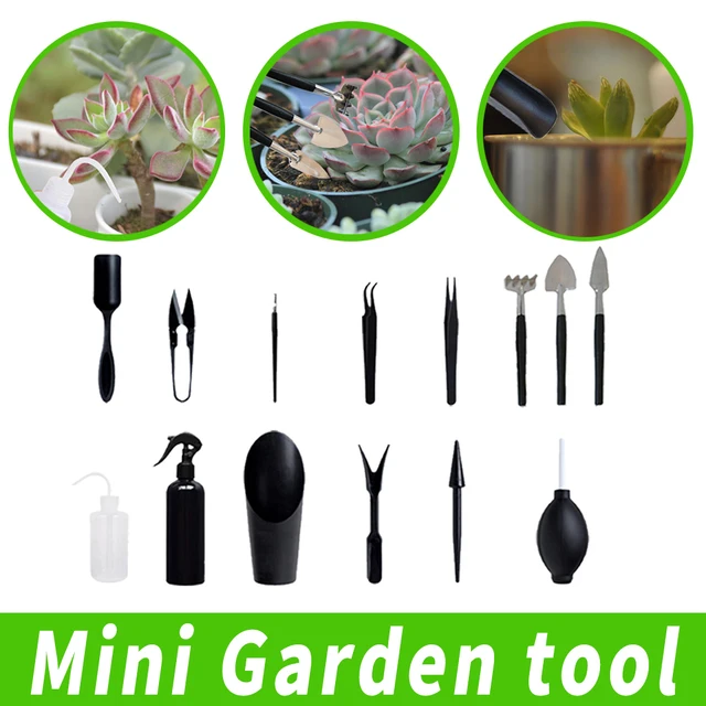 10 Pieces Mini Bonsai Tools Gardening Tool Kit Planting Cactus Succulents  Plants Outils Jardinage Qualité Kit Pour Jardin - AliExpress