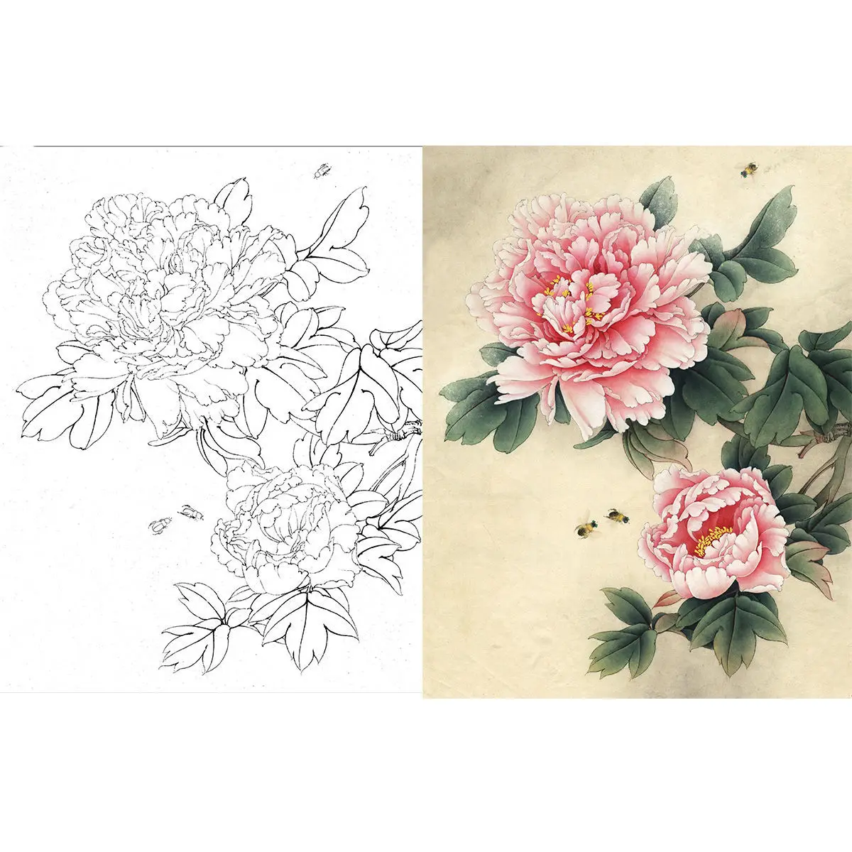 中國  手書花鳥 トーハク東洋館でググッと来た、中国の花鳥画（02）｜かわかわ
