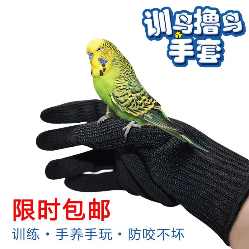 

Перчатки против укусов для попугаев, перчатки для ловли и полета домашних животных, тренировочные перчатки для попугаев из стальной проволоки, аксессуары для птиц