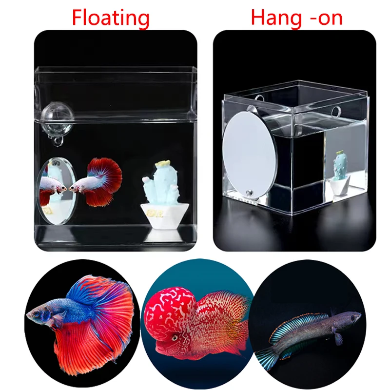 Acrylic Aquarium Betta Mirror Floating Round Mirror fish tank ornaments fish tank decorations aquarium ornaments For Fish Betta Flowerhorn Cichlid Training 4cm/5cm/6cm/7cm/8cm/9cm