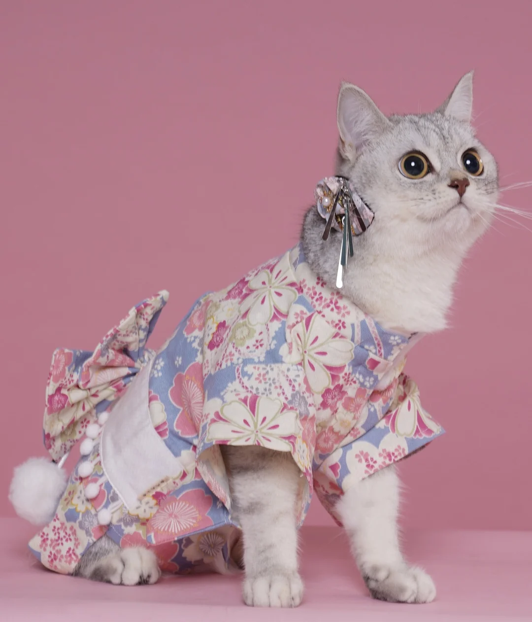 Japanese Style Thin Cat and Dog Coat, Pet Clothes for Cats and Dogs, Cute Print with Bow-knot Kitten Sphynx Clothing Outfit