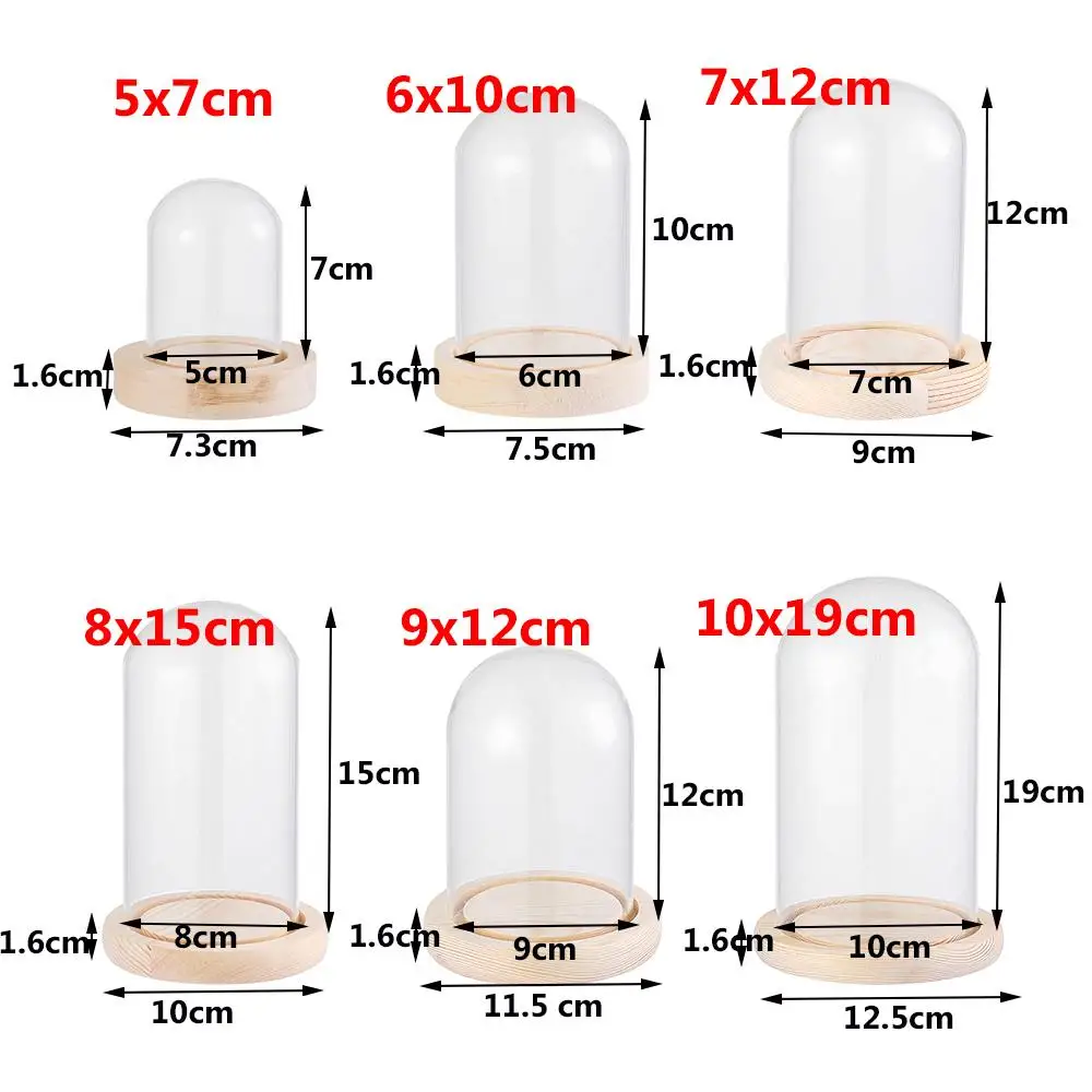 Display Jar Glass Cloche Jar Transparent Display Stand Cover With Wooden Base Acrylic Dust Cover Display Box Terrarium Tabletop Flower Box