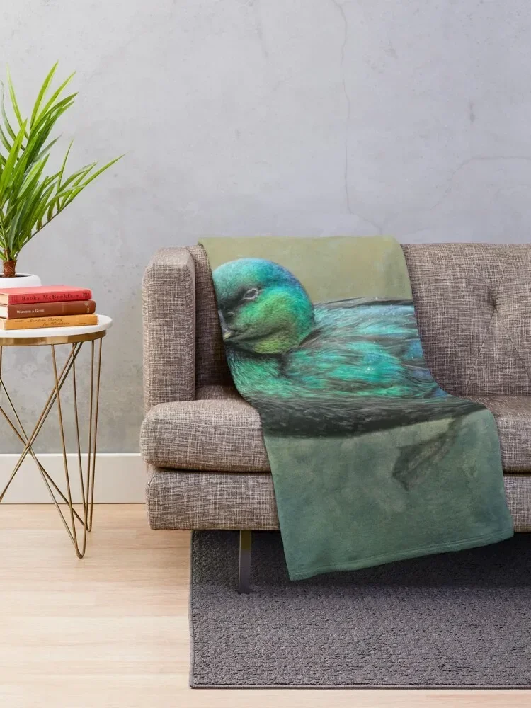 ī���� ���� ������ ���, ��Ʈ�� �ִϸ��̼� ���� ���