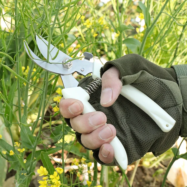 Pruning Garden Scissors Professional Garden Trimmer Orchard Scissors Hand Tools Bonsai Gardening Chopper Pruning Scissors 2