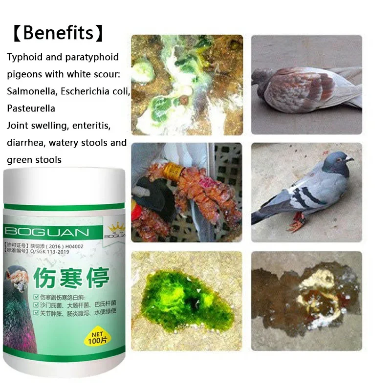 Pigeon typhoid fever stop Salmonella water green stool joint swelling enteritis yellow white stool diarrhea turning head 2