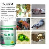 Pigeon typhoid fever stop Salmonella water green stool joint swelling enteritis yellow white stool diarrhea turning head 2