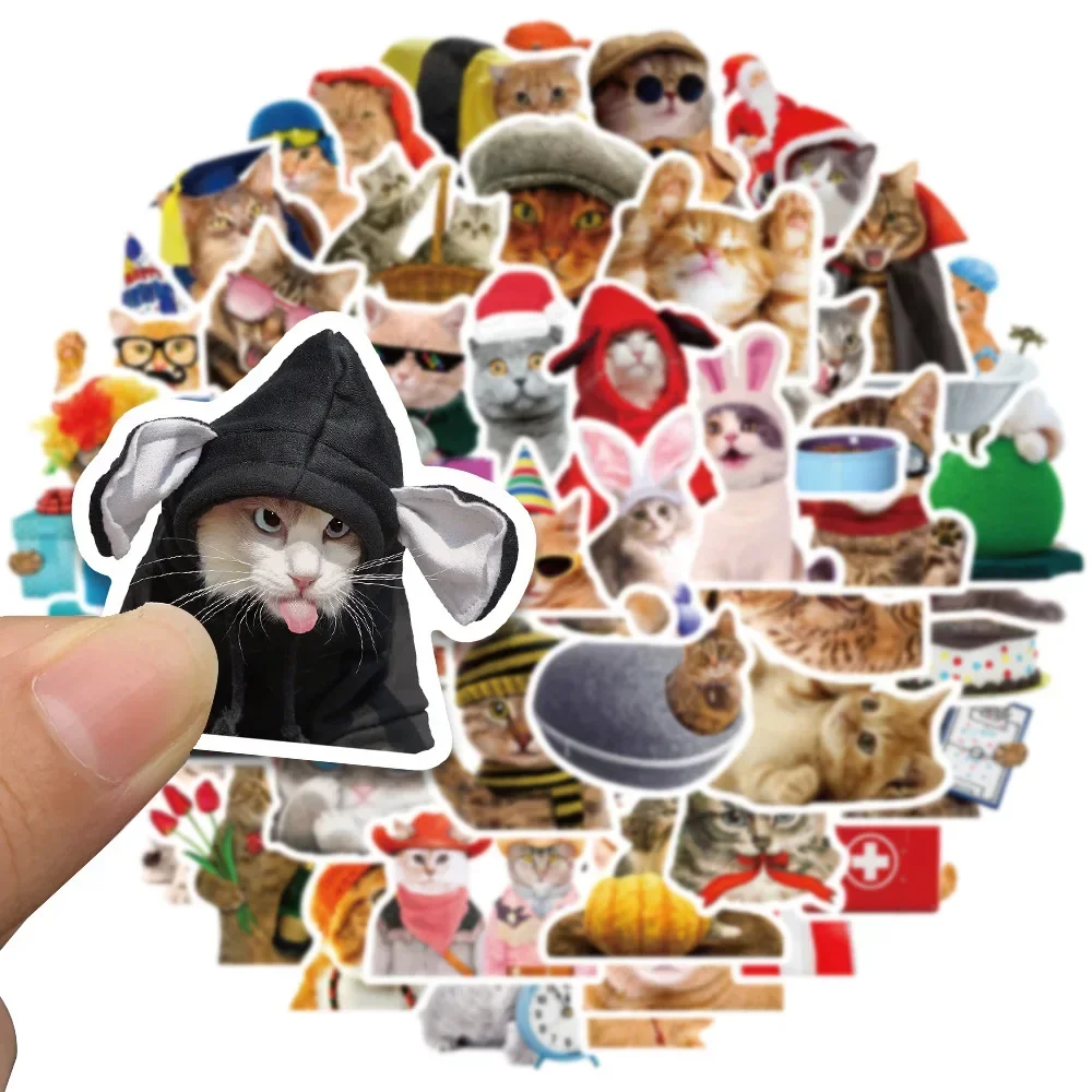 Cat Stickers Funny Cute Cat MEME Animals Stickers Kawaii Cats Decals Scrapbooking Notebook Luggage Laptop Skateboard Sticker Toy