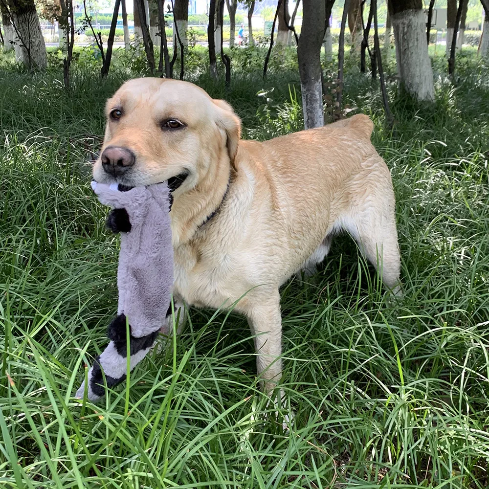 iFur Squeaky Dog Toys with Crinkle Paper, Interactive Carrot Plush Dog Chew  Toys for Training Teeth-Cleaning and Entertaining, Tough Durable Dog Chew