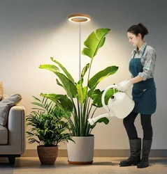 Full Spectrum Indoor Plant Grow Light with Adjustable Timer and Modes (2PACK)