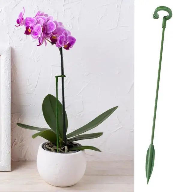 10 Darabos Növényi Tartó Tétkert Egyetlen Szárú Prop Virágok Orchidea Paradicsom Bazsarózsa Liliom Rózsa Gladiolus Phalaenopsis - Image 4