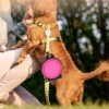 2-in-1 Foldable Dual Bowl Feeding Bowl Portable Outdoor Travel Dog Cat Drinking Bowl Pet Supplies Outdoor Feeding Water 1pc 3