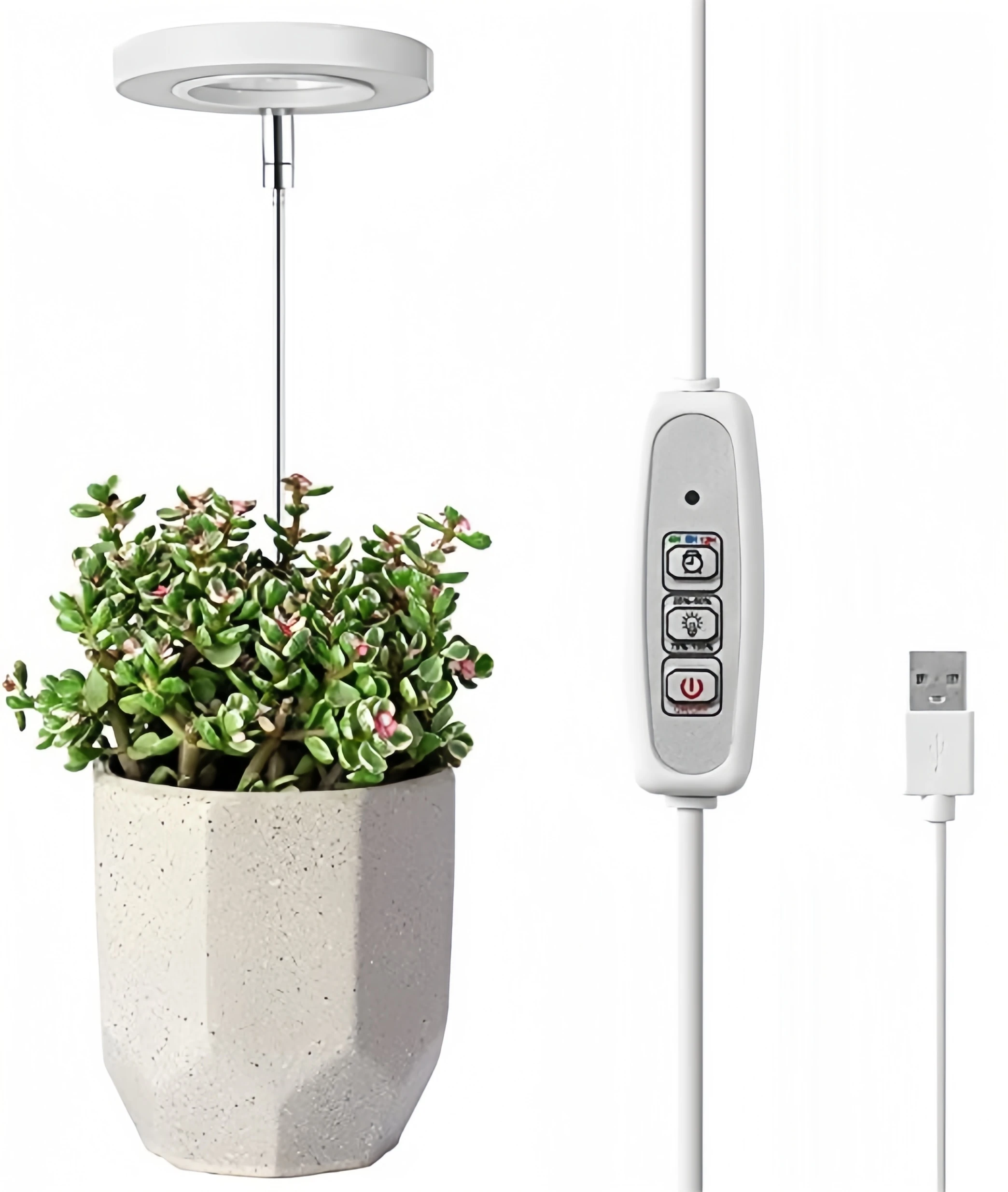 Adjustable Full Spectrum LED Grow Light with Automatic Timer