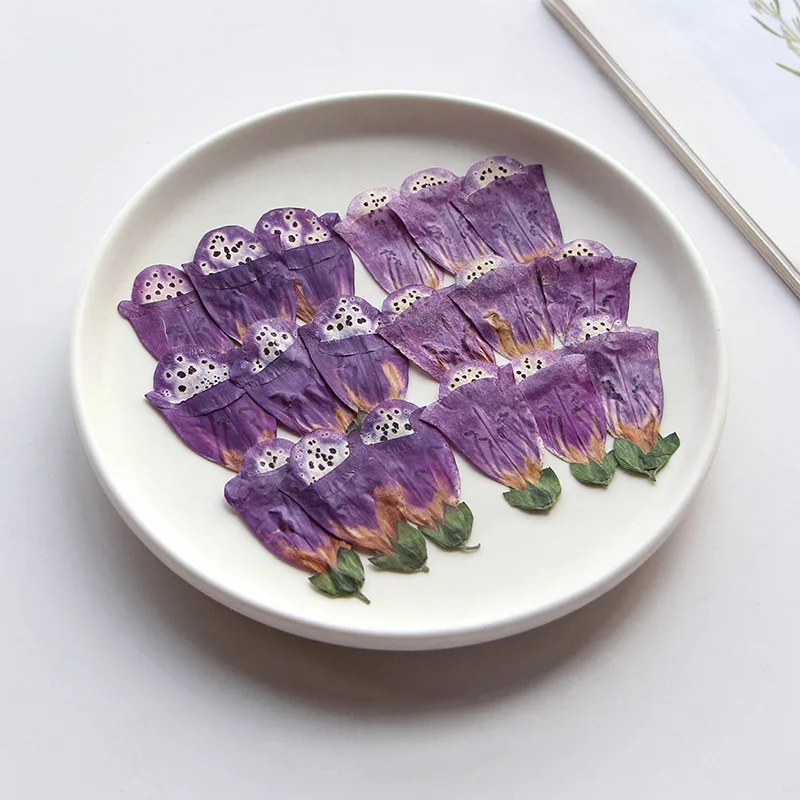 

120pcs Pressed Dried Digitalis purpurea L Flower Herbarium For Resin Epoxy Jewelry Card Bookmark Frame Phone Case Makeup Lamp