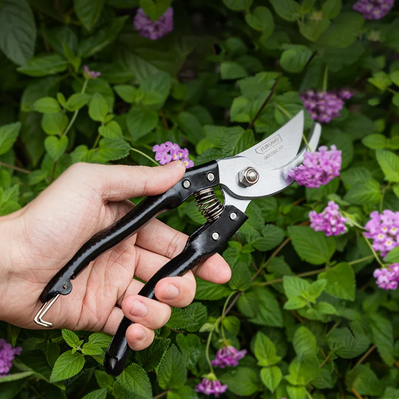 1Pcs Pruner Garden Scissors Professional Sharp Bypass Pruning Shears Tree Trimmers Secateurs Hand Clippers for Gardening Tools images - 6
