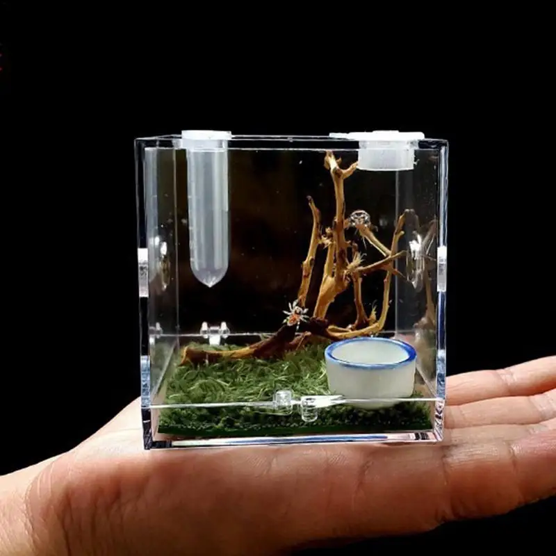 Aquarium Tank Vivarium Box Reptiles Breeding Box Clear Acrylic Cage Habitat Insect Feeding Box Terrarium Tank 3 Size