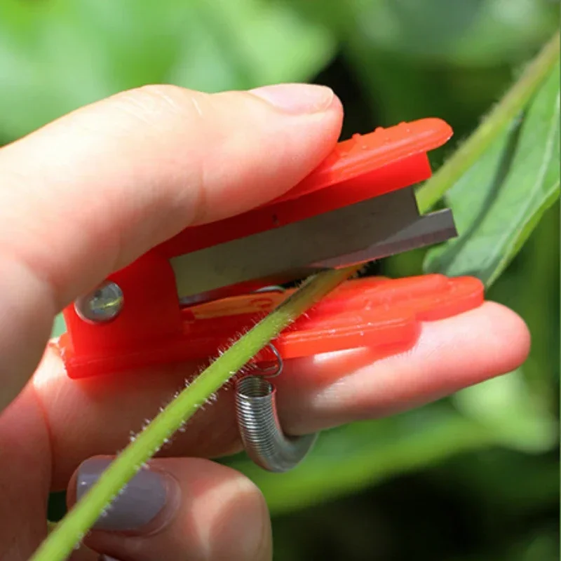 10pcs Vegetable Planting Thumb Sleeve Picker Trimming Branches and Leaves Small Scissors For Planting Plants to Grow and Cut Off 2