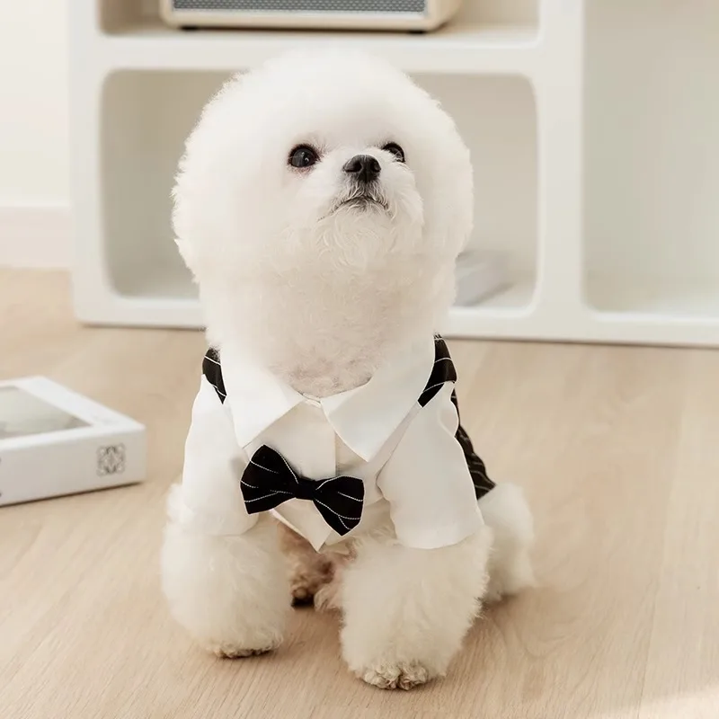 강아지 턱시도 강아지 원피스 테디 패션 셔츠, 강아지 두 다리 가디건, 요크셔 활 타이 조끼, 세트 여름 신상