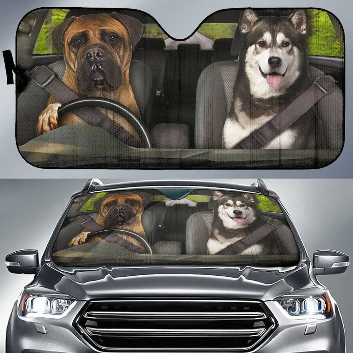

SH1238 Boxer and Husky Dog Lovers Car Windshield Sun Shade (Multicolor)