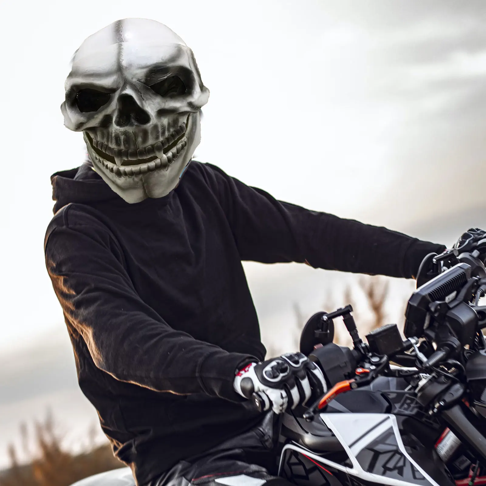 Ʈ ذ  ü  ذ    ذ ذ   ü  ذ ذ