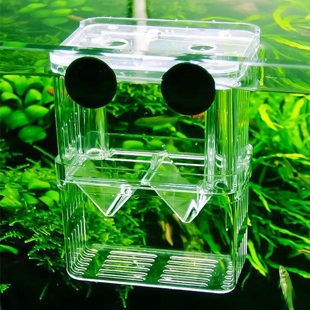 Fish Aquarium Breeding Box Durable Betta Fish Tank Isolation Hatching Incubator Baby Shrimp