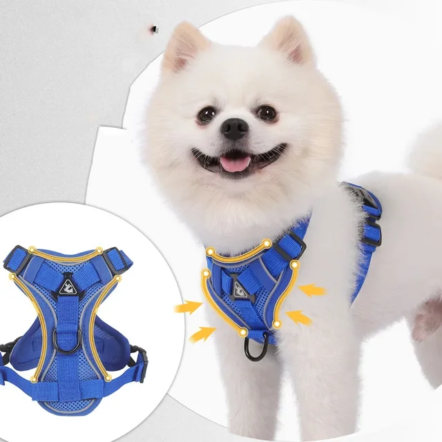 Dog Harness Leash Set Adjustable Pet Harness Vest For Small Large Dog Cat Reflective Mesh Puppy Cat Chest Strap Dog Accessories 5