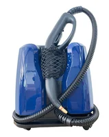 2024 professional  cleaning equipment continuously working 5Bar high pressure 2200W Multi function portable steam cleaner 2