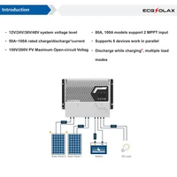 Contrôleur de charge solaire MPPT EPEVER 60/80/100A, protection contre l'eau IP43, compatible 12V/24V/48V DC, compatible avec les panneaux PV LiFePO4 200V 3