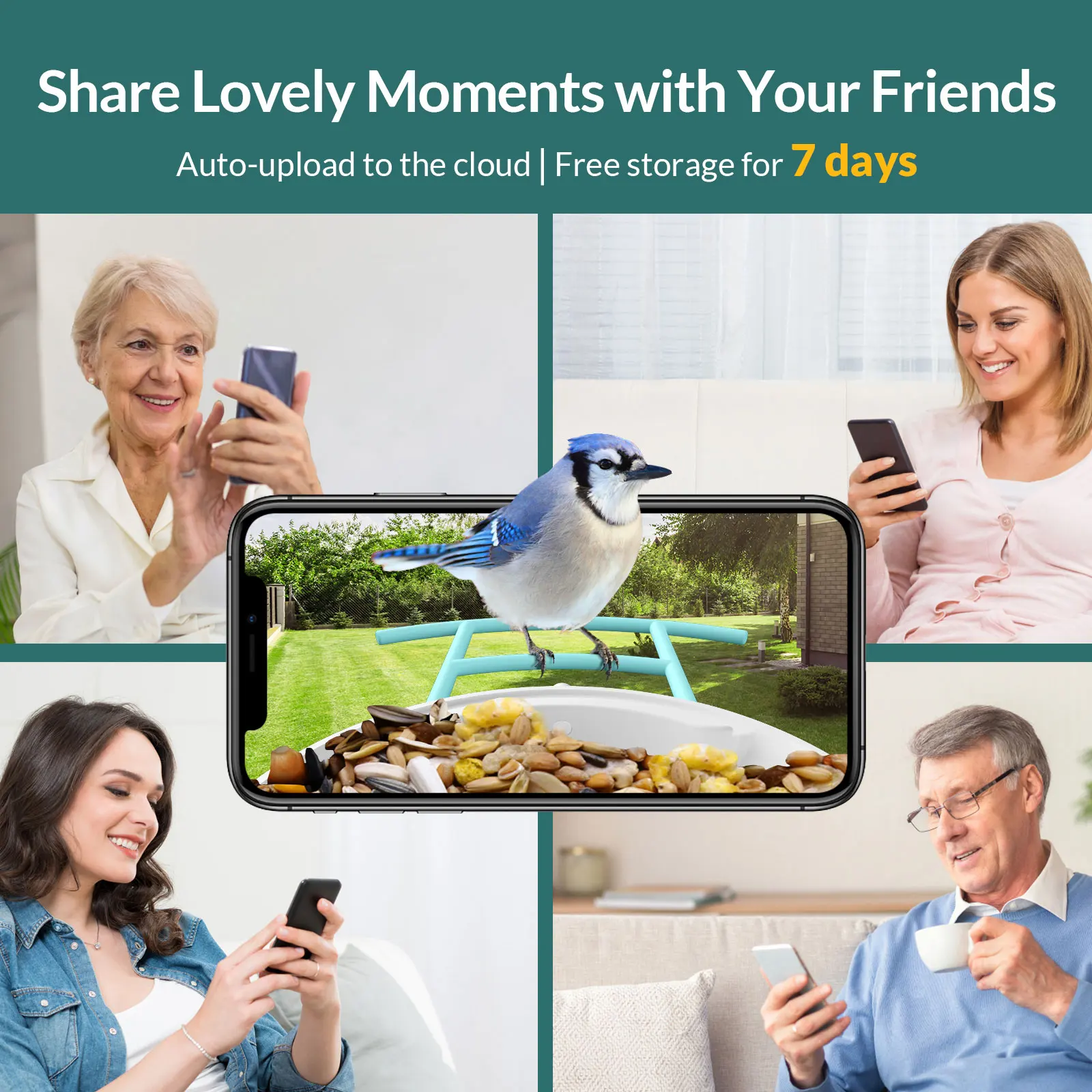 Smart Bird Feeder with Camera, Netvue Birdfy Bird Watching Camera Gift for  Parents and Bird Lover, Blue (Free AI) 