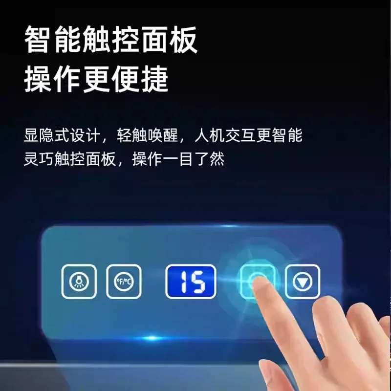 For Red Wine Cabinet Thermostatic Wine Cabinet Household Small Electronic Red Grape tCigar Ice Bar