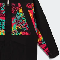 Adidas Originals ADV GORETEX WB Veste de sport pour homme GN2356 3
