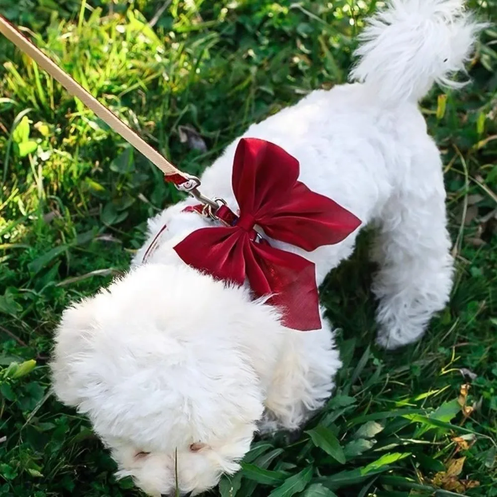 Pet Accessories Adjustable Pet Harness Escape-Proof Breathable Cat Leash Cute Bow Comfort Dog Chest Strap for Dogs Puppy Rabbit