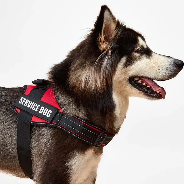 Reflective Pet Harness – Customizable Saddle for All Dog Sizes 5
