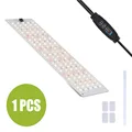 1 PCS