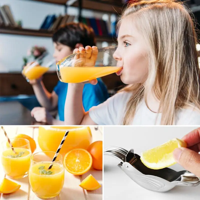 Manual Lemon Juicer Portable Stainless Steel