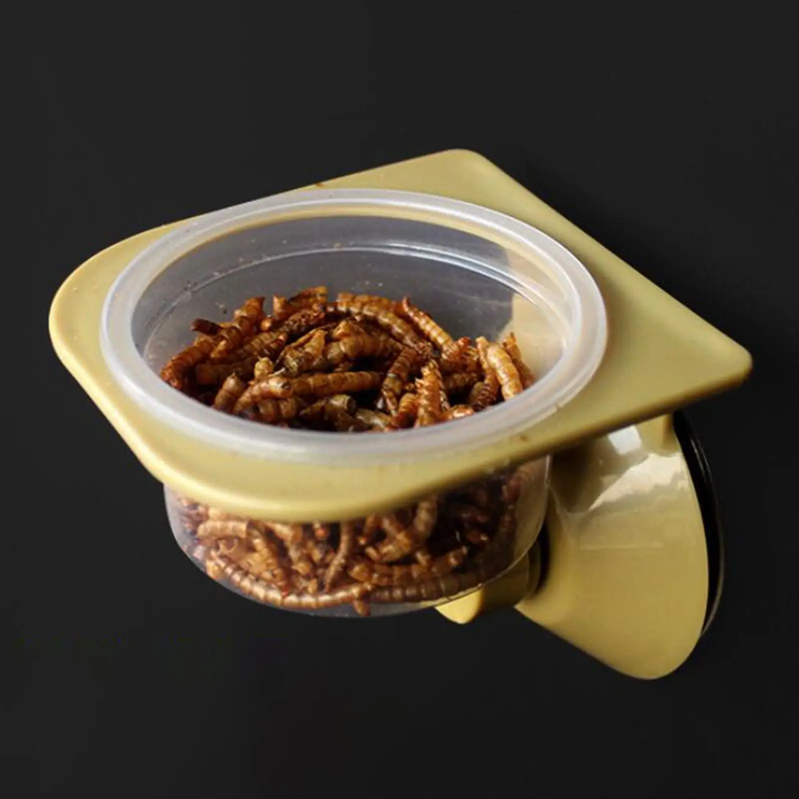 Reptile Feeder Water Feeder Dish Bowl Feeding Cup for Tortoise Worm Supplies