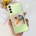 Case-c40