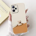 Case-c22