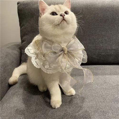 레이스 개 고양이 네커치프 칼라 빈티지 스카프, 나비 매듭 벨 포함, 애완 동물 턱받이 개 목걸이 넥타이, 고귀한 개 웨딩 액세서리 3