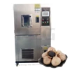 Stainless Steel 150L Black Garlic Fermenter Fermenting Machine Fermentation Chamber Dry Aging Room For Black Garlic Ferment 3
