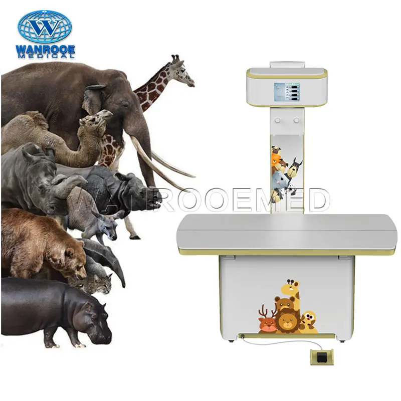 Рисунок 5 - Ветеринарный высокочастотный панорамный