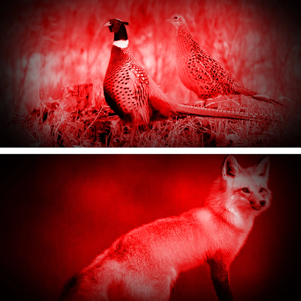 Description Picture 6 of itemWhite/Green/Red Tactical Flashlights 1 Modes 18650 Outdoor Waterproof Lamp Zoomable Hunting Torch Lumens With Scope Gun Mount