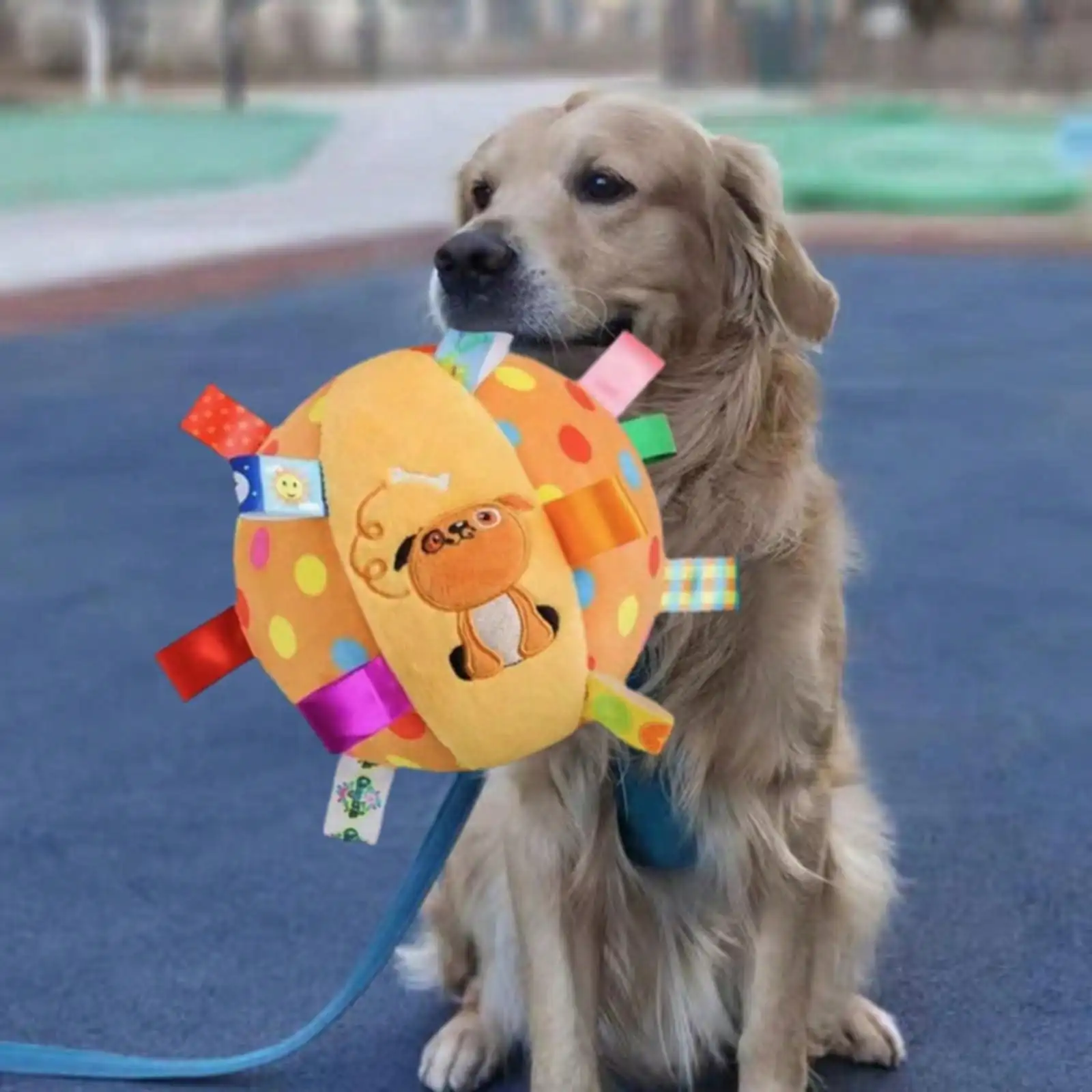 스트랩이 달린 강아지 장난감 축구공, 실내 및 실외 인터랙티브 강아지 꼬부기 공, 터그 오브 워, 강아지 생일 선물