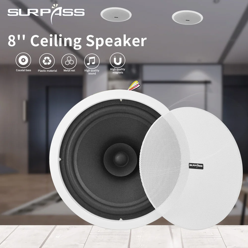 8inch Pa Speaker Horn Cheap Commercial 